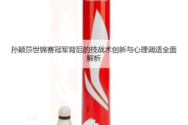 孙颖莎世锦赛冠军背后的技战术创新与心理调适全面解析